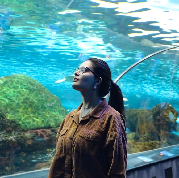 Meet your Posher, Malek - Picture 1 of 1